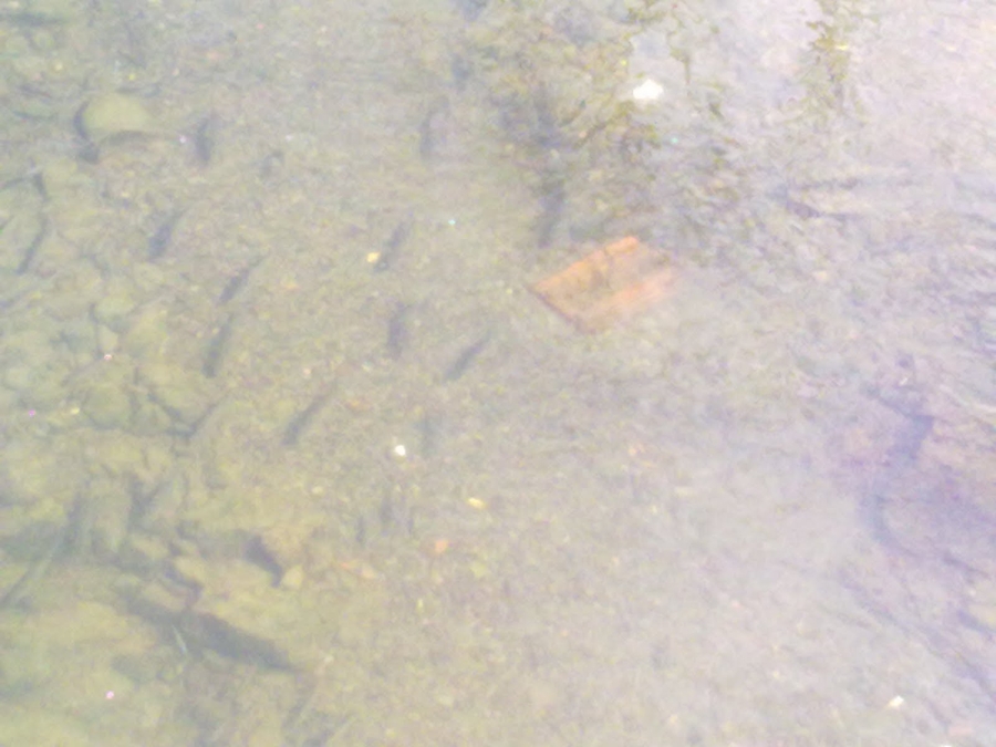 ljudi se rastanu ali duse nikada