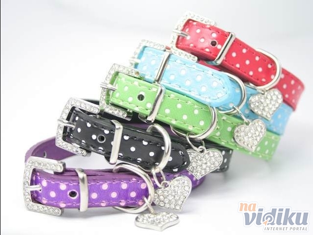 Besplatni Porno Filmovi::Domaci Pornici::Jebanje:Seks Filmovi